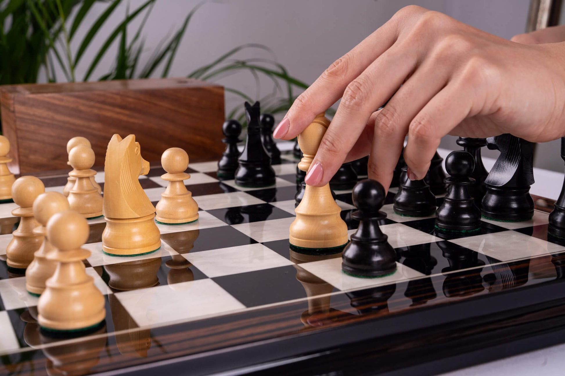 Jeu d'Échecs Transmission <br>en Bois d'Ébène et Buis
