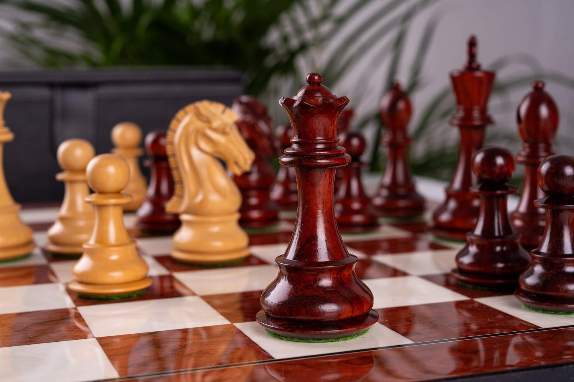 Jeu d'Échecs Quintessence <br>en Loupe de Frêne