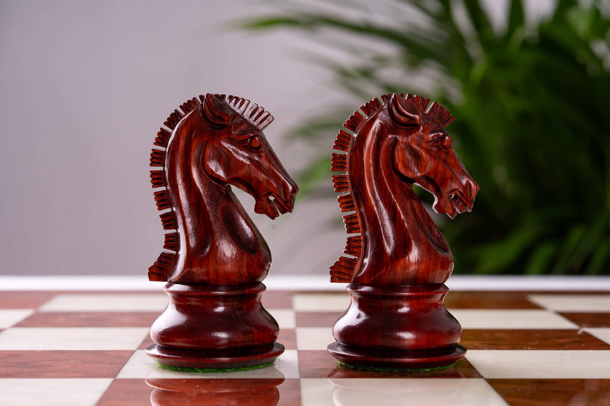 Jeu d'Échecs Quintessence <br>en Loupe de Frêne