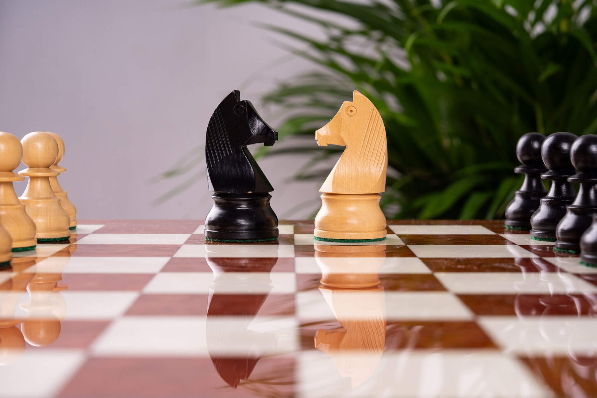 Jeu d'Échecs Vestige <br>en Loupe de Frêne