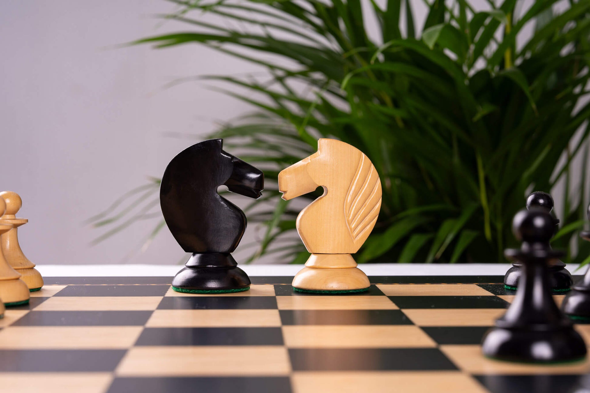 Jeu d'Échecs <br>Gambit Royal