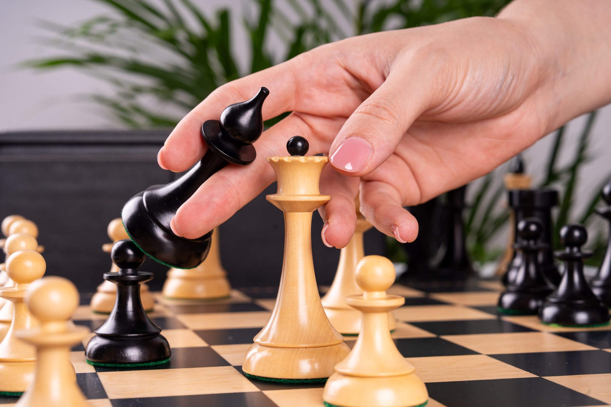 Jeu d'Échecs <br>Gambit Royal