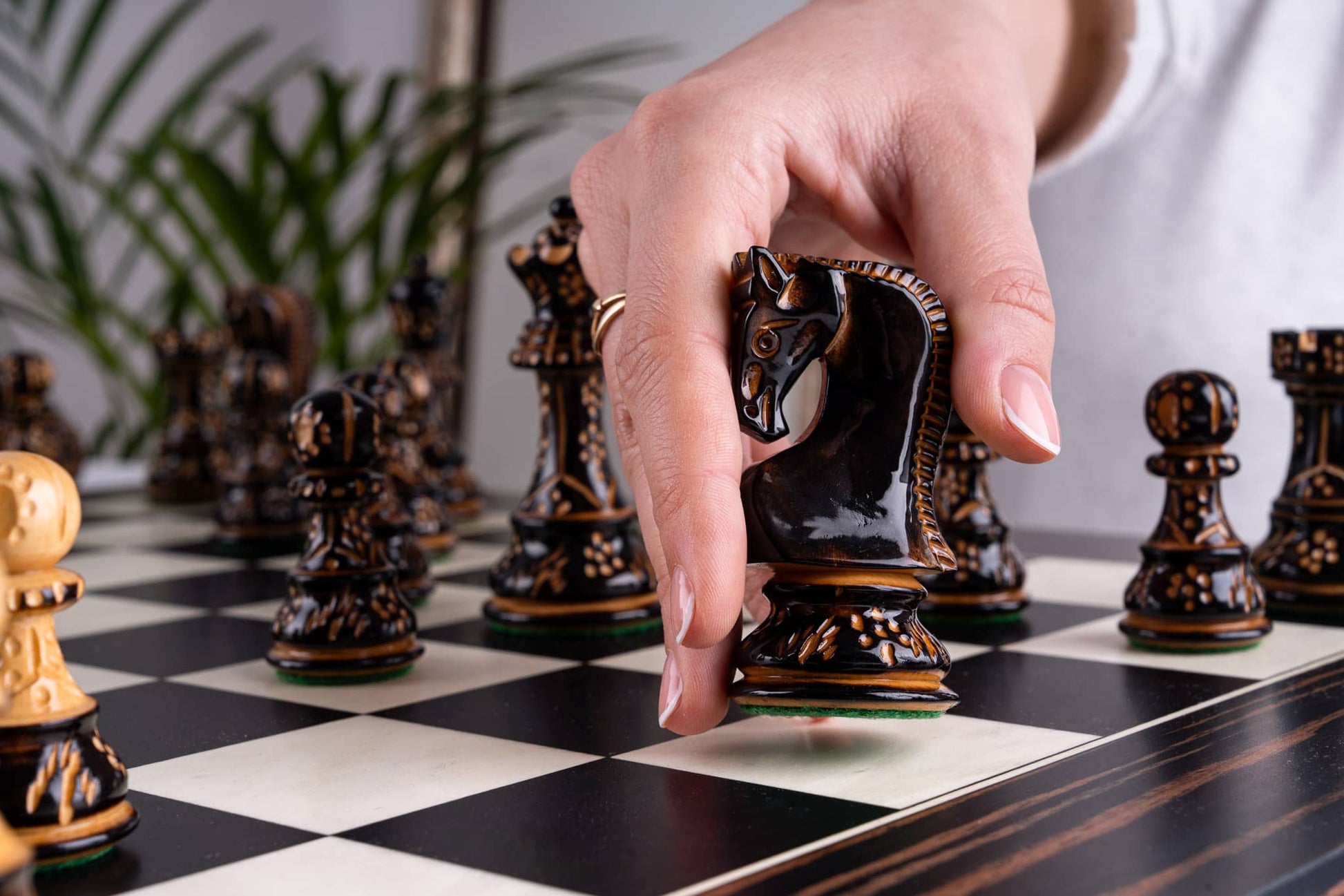 Jeu d'Échecs Apogée <br>en Bois d'Ébène et Buis