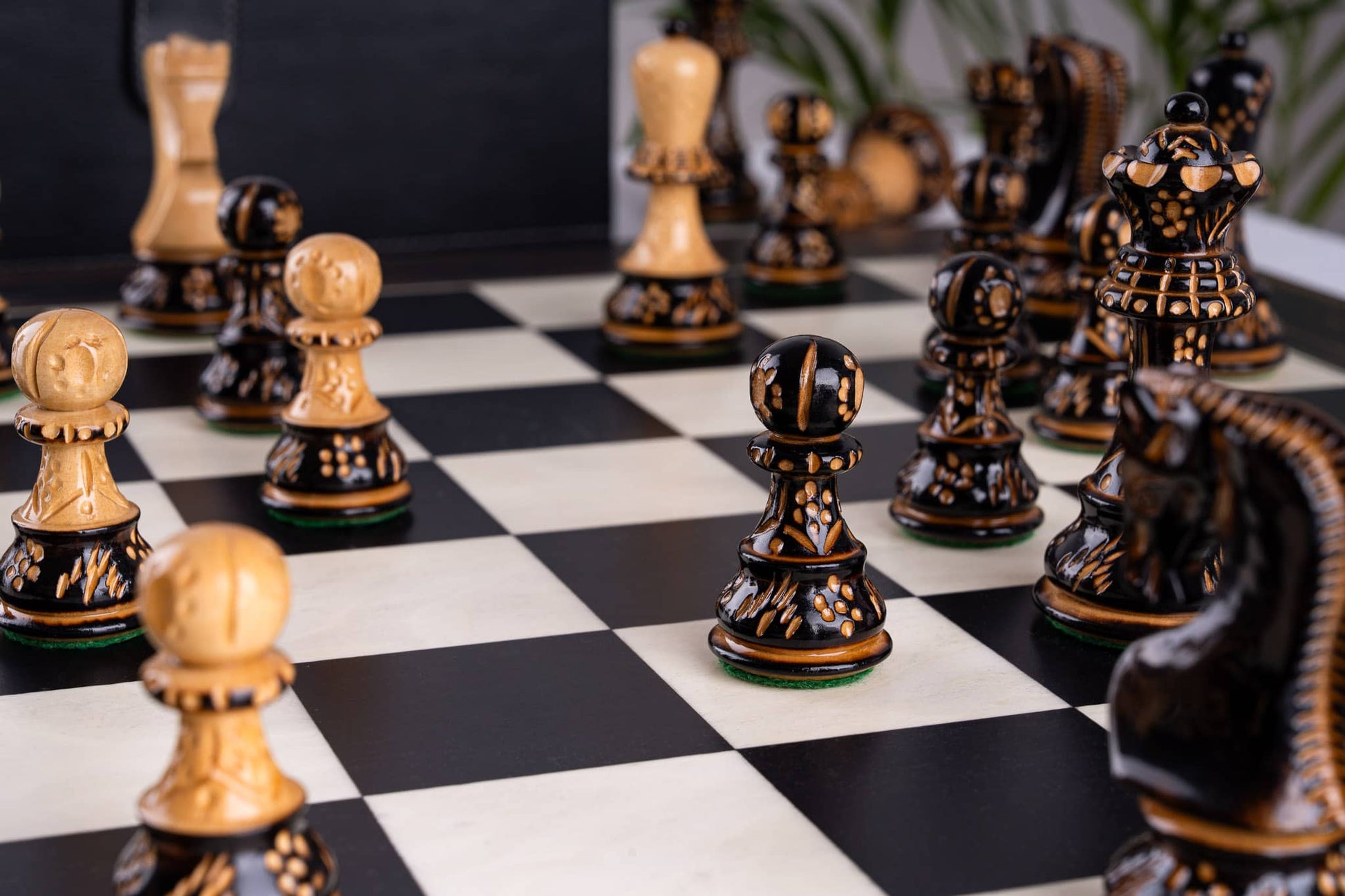 Jeu d'Échecs Apogée <br>en Bois d'Ébène et Buis