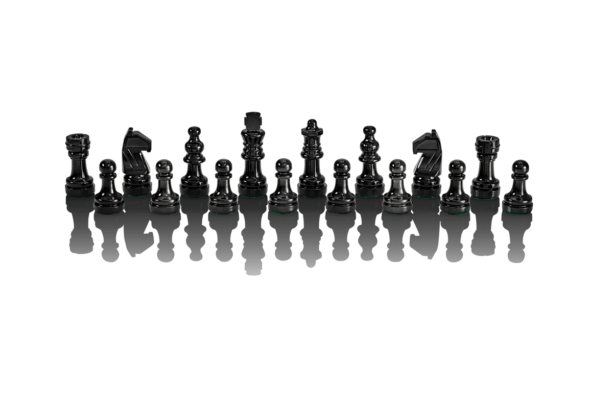 Jeu d'Échecs <br>Millenium (ChessGenius Pro)